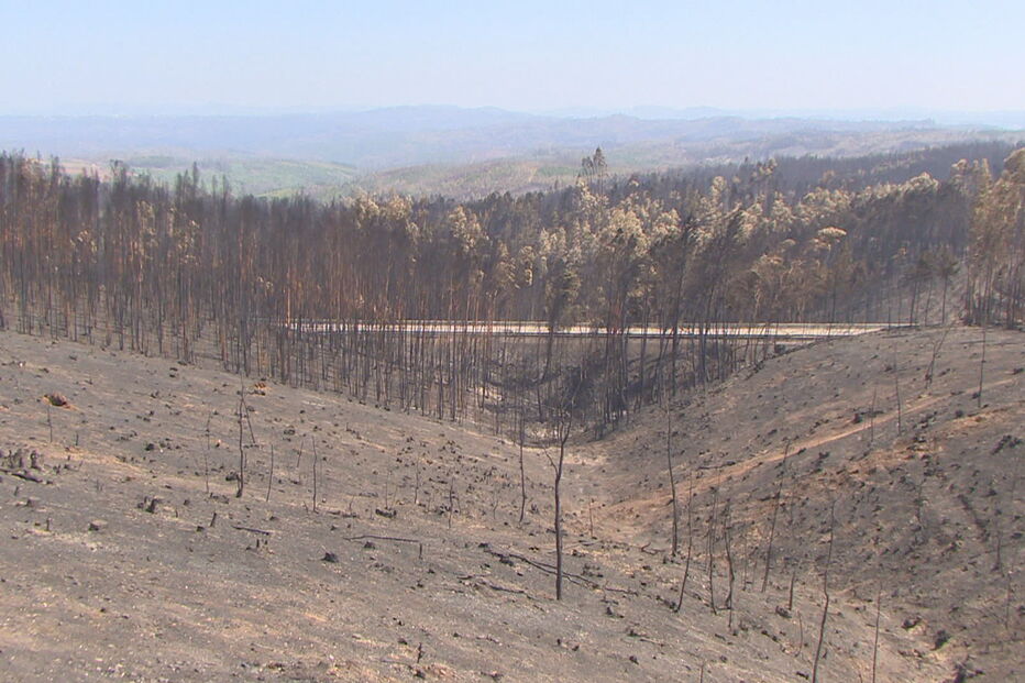 Já foram detidas 52 pessoas por fogo posto