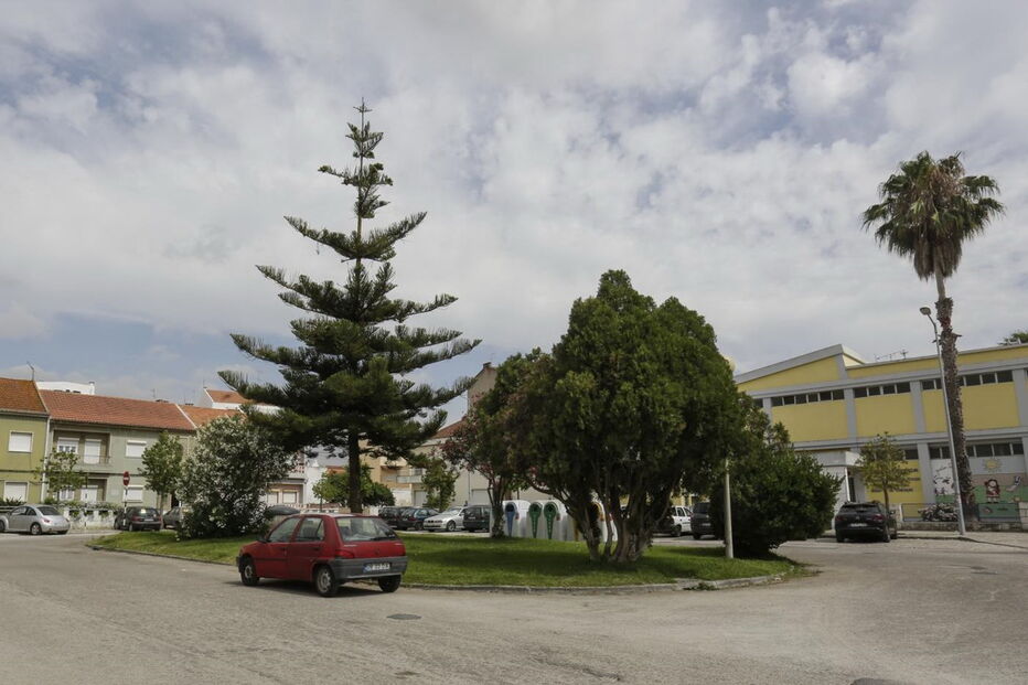 2017-07-06_16_42.43 M2-14237034.JPG