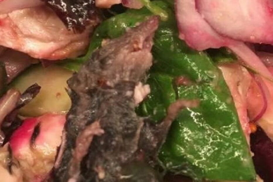 Rato morto foi encontrado em salada