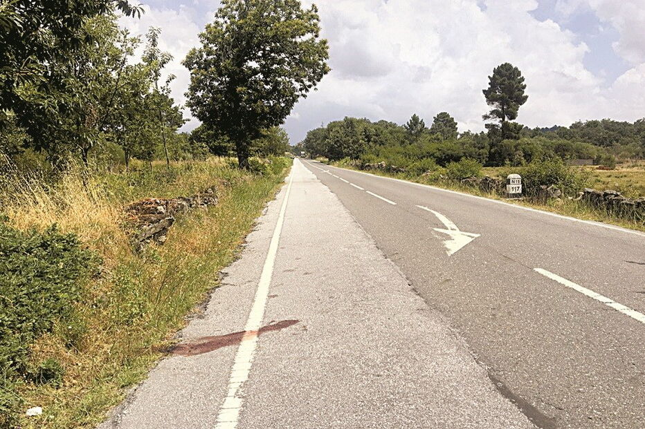 Paula Fernandes, Francisco Coutinho, Vila Real, EN15, Sanguinhedo, Leirós, presidente da Junta de Freguesia de Leirós, Hospital de Vila Real, Urgência, caçador, PJ, Albertino Fontes, baleada, morte