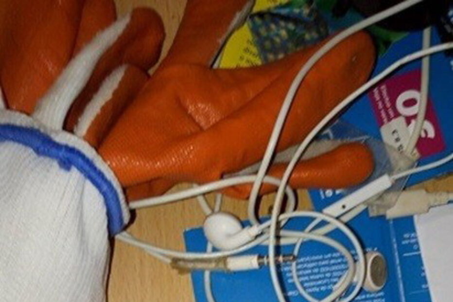 SEF, Serviço de Estrangeiros e Fronteiras, Hindustão, Ásia, Nepal, Índia, Butão, Tribunal de Silves, Armação de Pêra, GNR, questões sociais, crime, lei e justiça, imigrantes ilegais