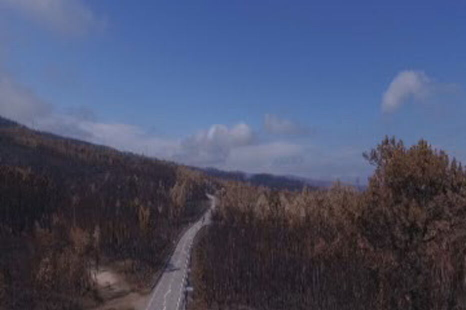 Incêndio de Pedrógão deixou rasto de destruição incalculável