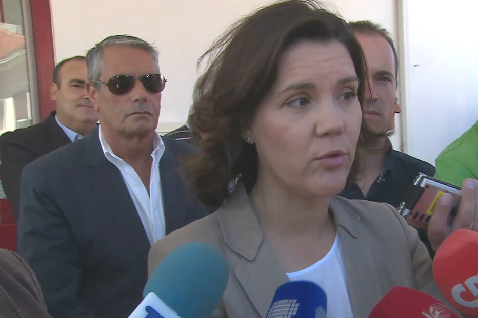 2017-07-10_13_26.36 cristas (2).jpg