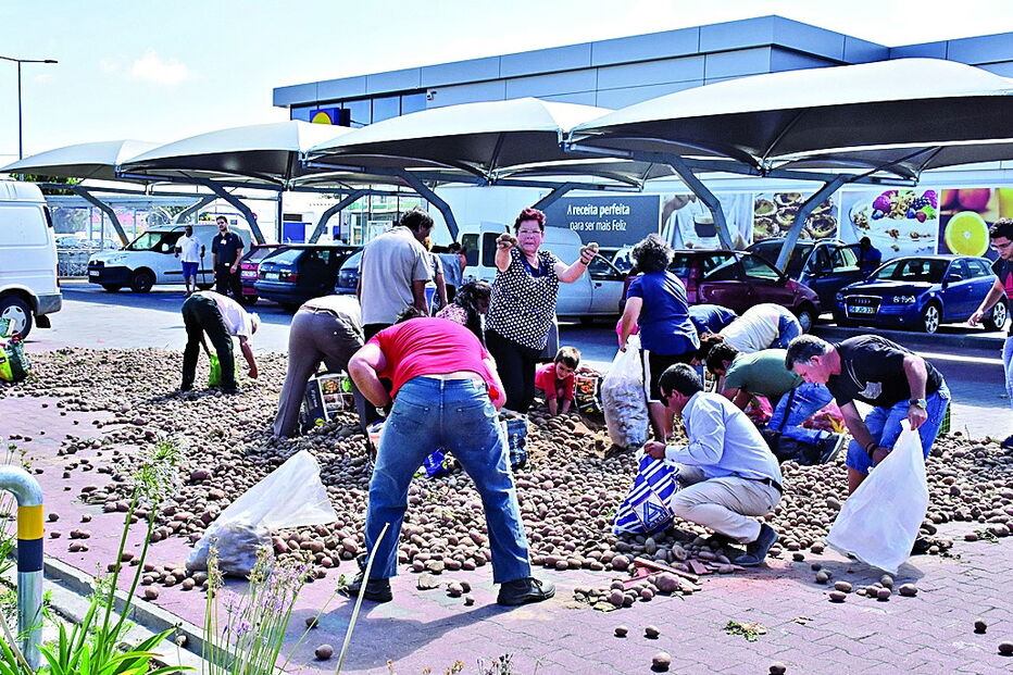 Centenas de consumidores aproveitaram a dádiva dos produtores para garantir batatas em casa para alguns meses 