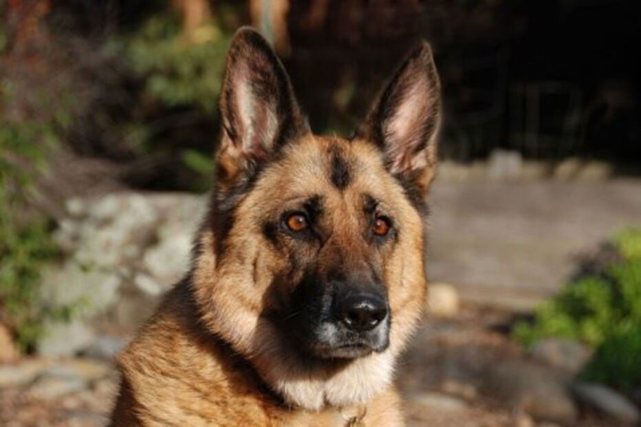 2017-07-12_23_50.06 510802099.jpg