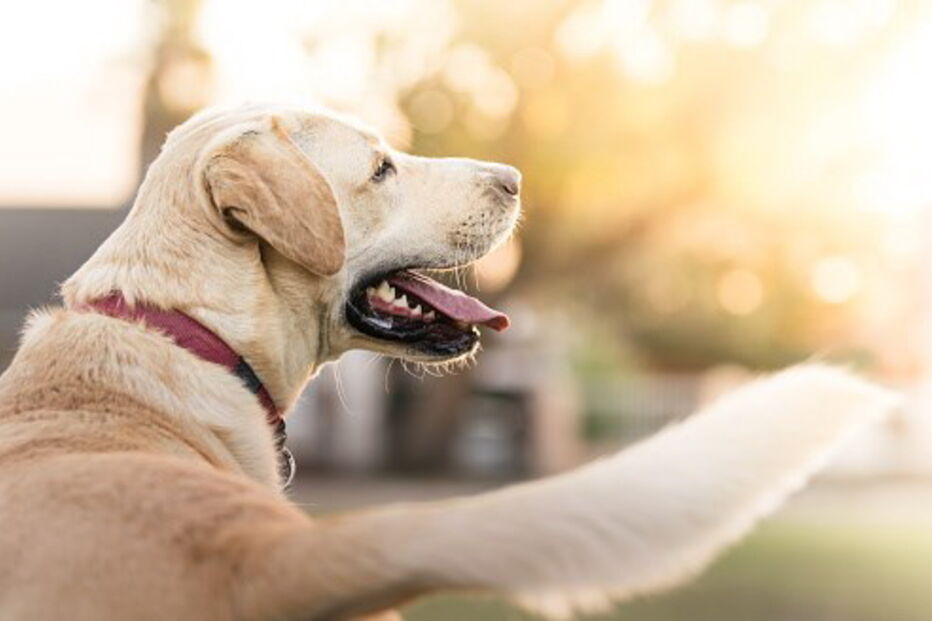 2017-07-12_23_50.07 587044747.jpg