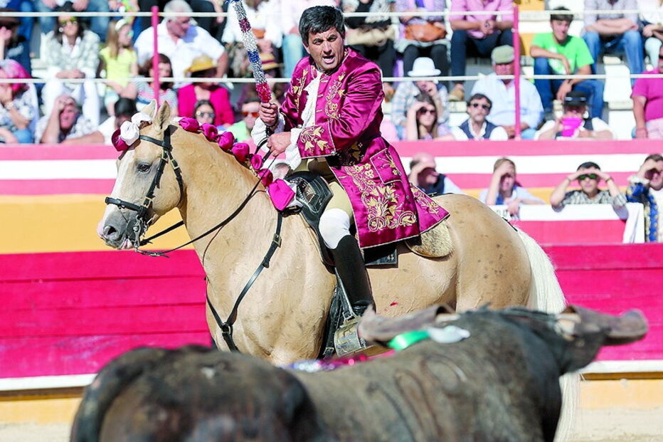 Luís Rouxinol vai lidar, juntamente com António Ribeiro Telles, Luís Rouxinol Júnior e Manuel Ribeiro Telles Bastos toiros da ganadaria Murteira Grave