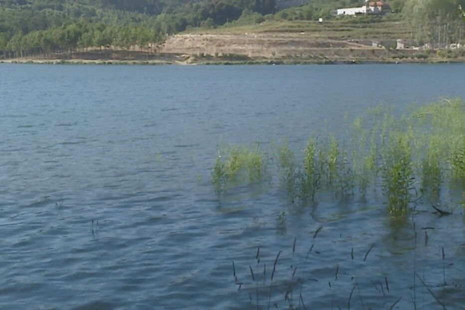 Marco de Canaveses, Crocodilo, Marco de Canavezes, questões sociais