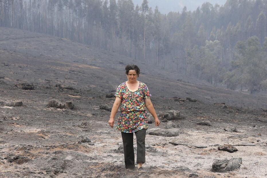 Fogo, pedrógão grande, aldeias, estrada, floresta, incêndio, tragédia