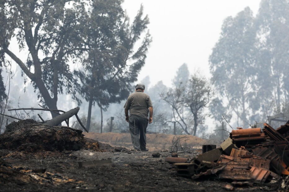 Fogo, pedrógão grande, aldeias, estrada, floresta, incêndio, tragédia