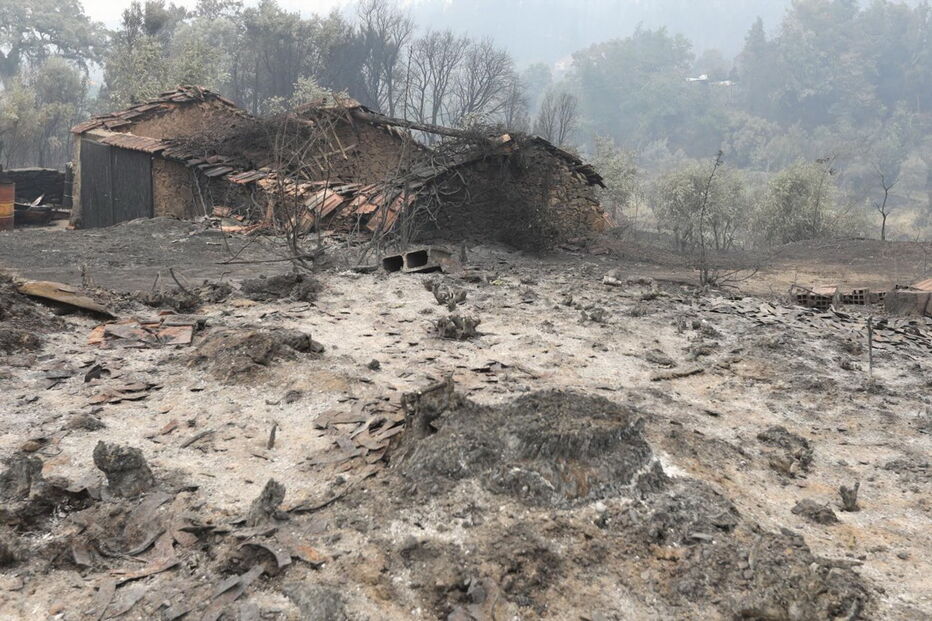 Fogo, pedrógão grande, aldeias, estrada, floresta, incêndio, tragédia