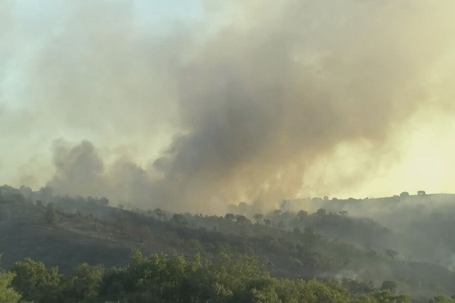 Incêndio em Vale de Asnes, Mirandela, distrito de Bragança