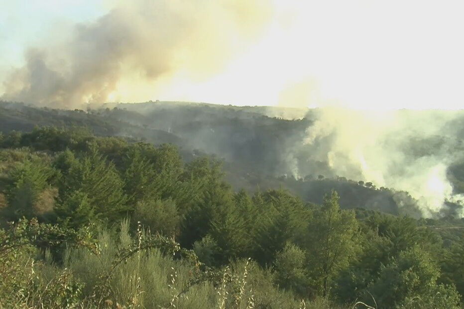 Incêndio em Vale de Asnes, Mirandela, distrito de Bragança