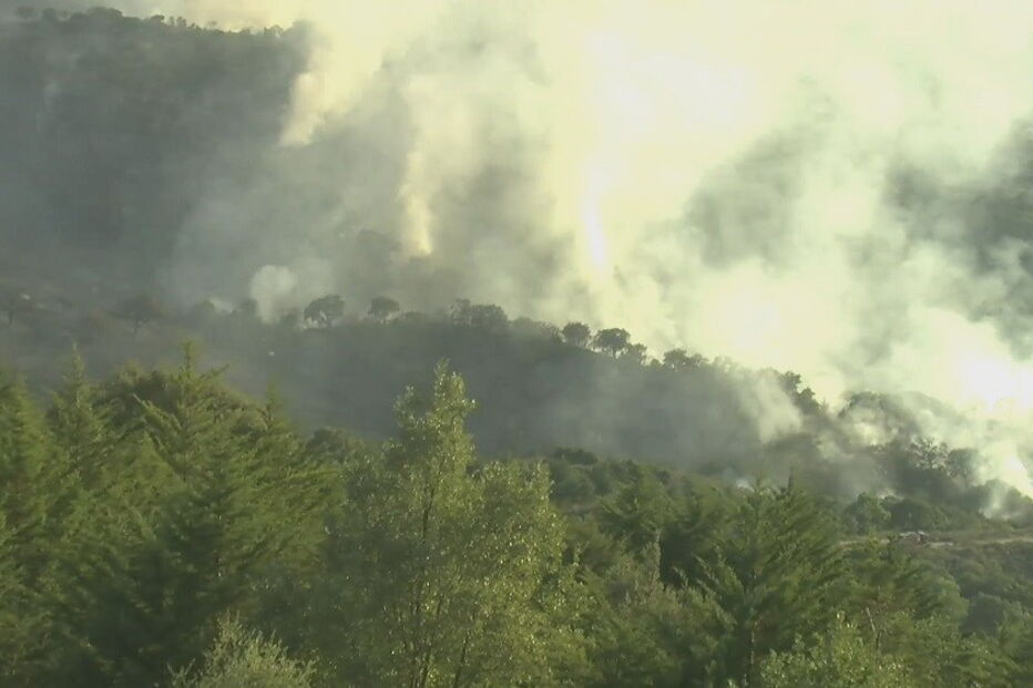 Incêndio em Vale de Asnes, Mirandela, distrito de Bragança