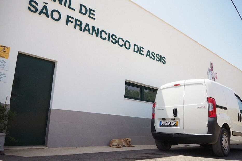 S. Francisco de Assis, Canil de São Francisco, GNR, Loulé, Assis, São Mariano, Natal, questões sociais, interesse humano, animais, sociedade (geral)