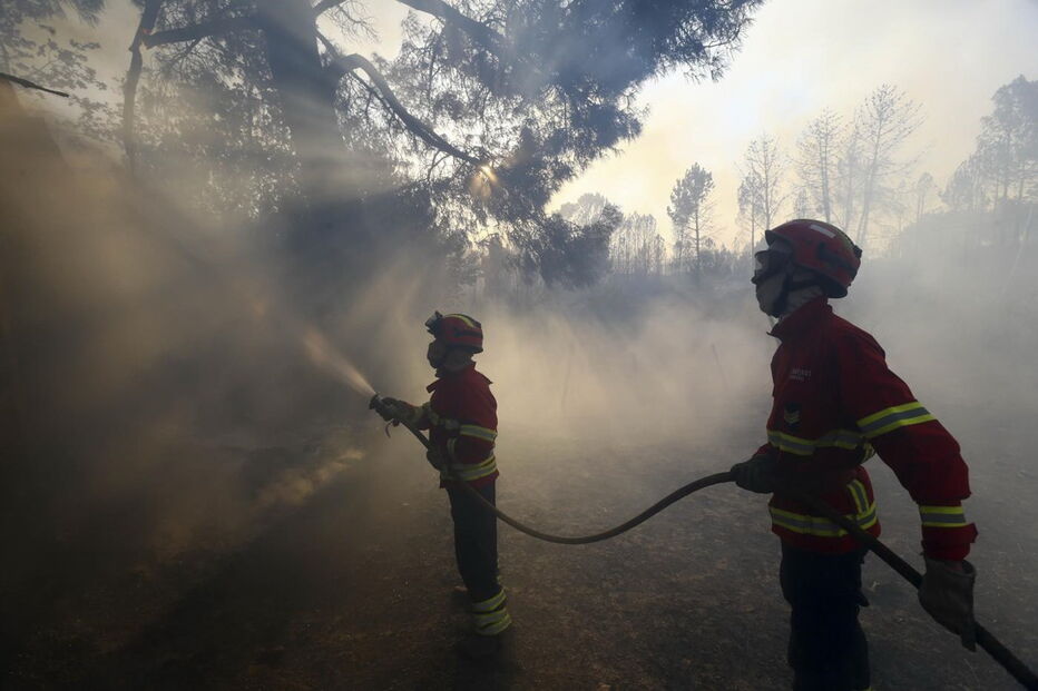 Incêndio em Alijó