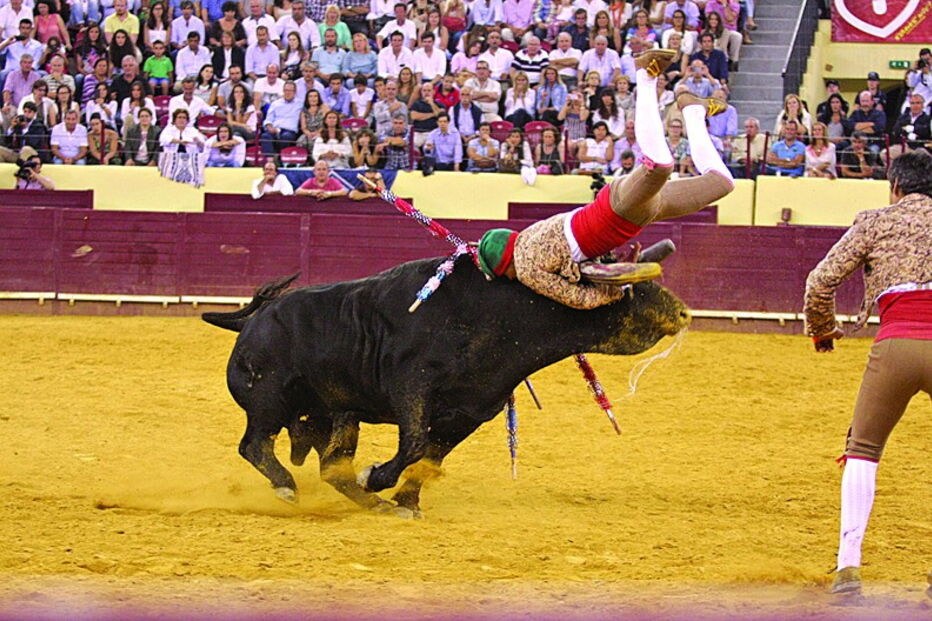 forcados, Santarém, Correio da Manhã, Luís Rouxinol Jr, Praça do Campo Pequeno, Lisboa, António Ribeiro Telles, João Grave, Santarém, Manuel Ribeiro Telles Bastos, Coruche