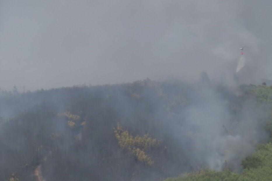 Cavalinho, Oleiros, Internet da Proteção Civil, Castelo Branco, Sertã, acidentes e desastres, salvamento / busca