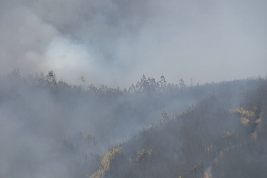 Cavalinho, Oleiros, Internet da Proteção Civil, Castelo Branco, Sertã, acidentes e desastres, salvamento / busca