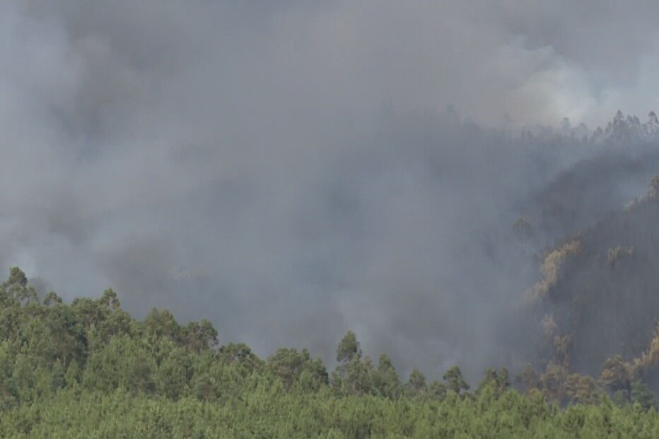 Cavalinho, Oleiros, Internet da Proteção Civil, Castelo Branco, Sertã, acidentes e desastres, salvamento / busca