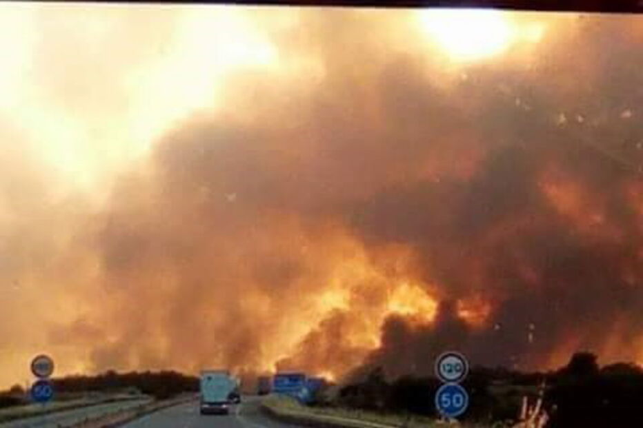 Lusa, Rochoso e Monte Margarida, CDOS, Guarda, Comando Distrital de Operações de Socorro, Proteção Civil, Almeida, Vila Nova de Foz Côa, Azinhal, Murça, Freixo de Numão, acidentes e desastres, incêndios