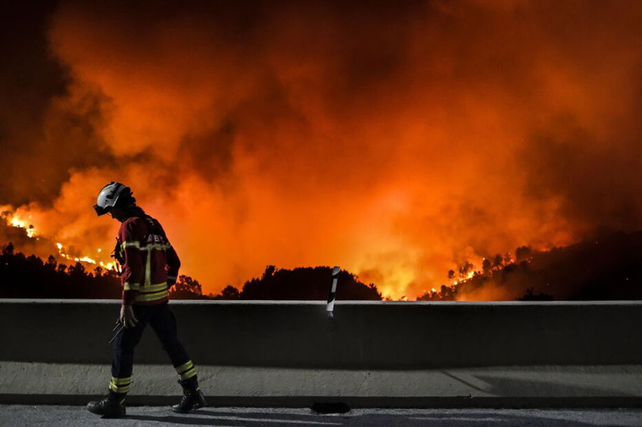Incêndio, Alijó, bombeiros, desastre