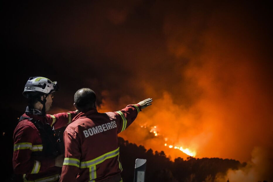 Incêndio, Alijó, bombeiros, desastre