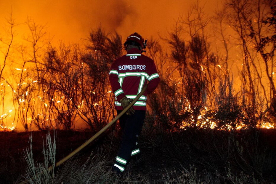 Lusa, Rochoso e Monte Margarida, CDOS, Guarda, Comando Distrital de Operações de Socorro, Proteção Civil, Almeida, Vila Nova de Foz Côa, Azinhal, Murça, Freixo de Numão, acidentes e desastres, incêndios