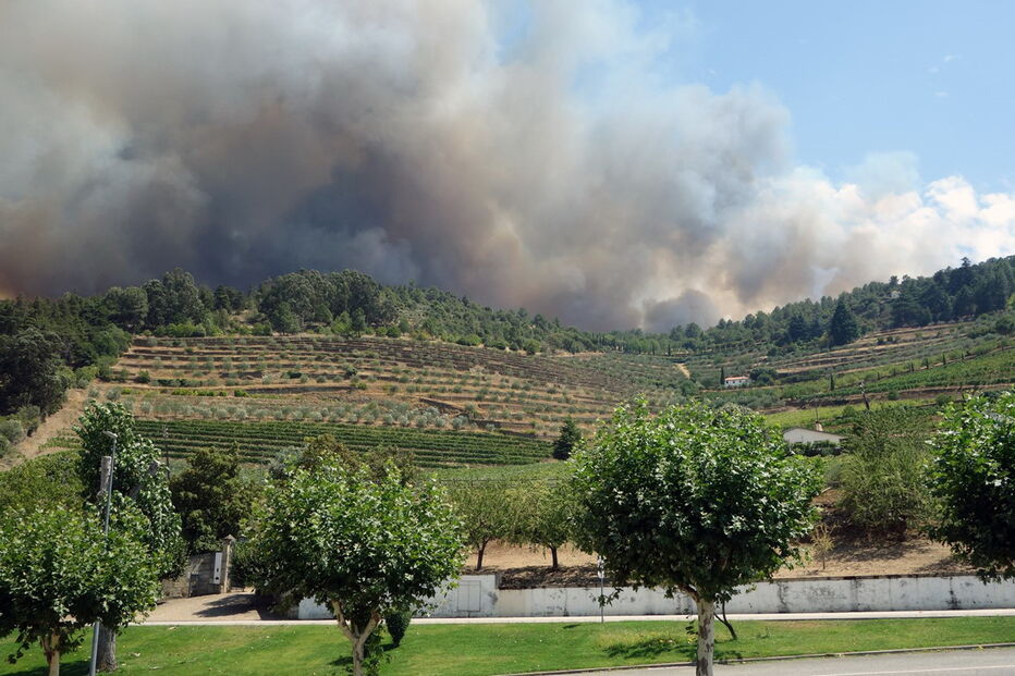 2017-07-18_16_18.40 INCENDIO-001.jpg