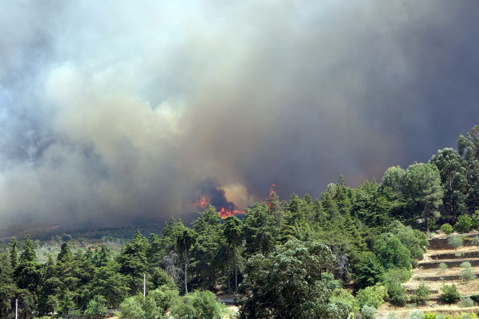 2017-07-18_16_18.41 INCENDIO-002.jpg