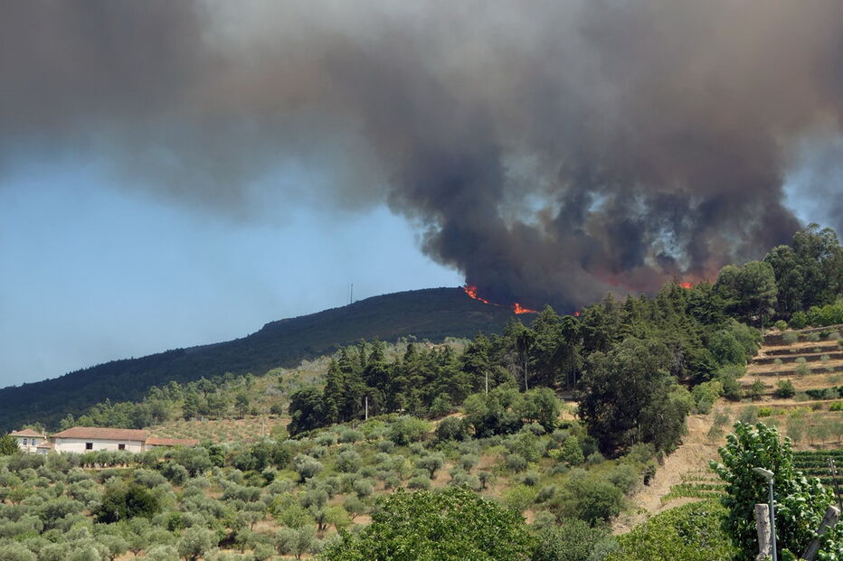 2017-07-18_16_18.42 INCENDIO-003.jpg