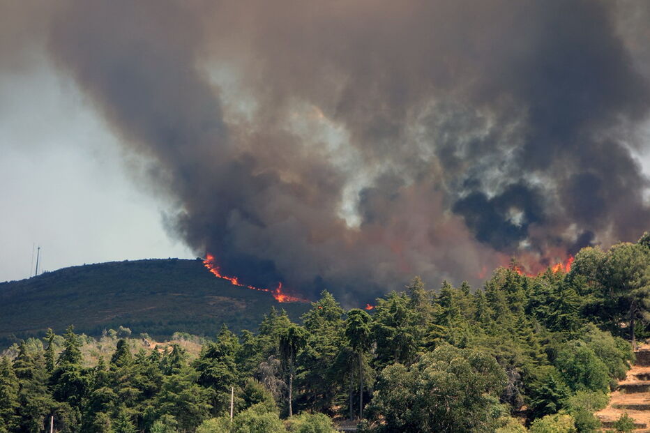 2017-07-18_16_18.42 INCENDIO-004.jpg