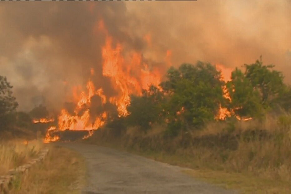 Gouveia, Gouveia, acidentes e desastres, incêndios