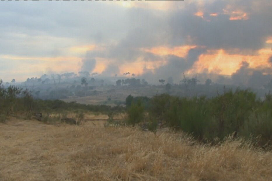 Gouveia, Gouveia, acidentes e desastres, incêndios