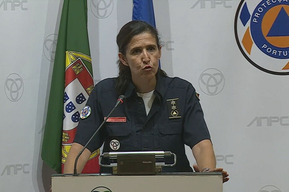 fogos, incendiários, proteção civil, incêndios