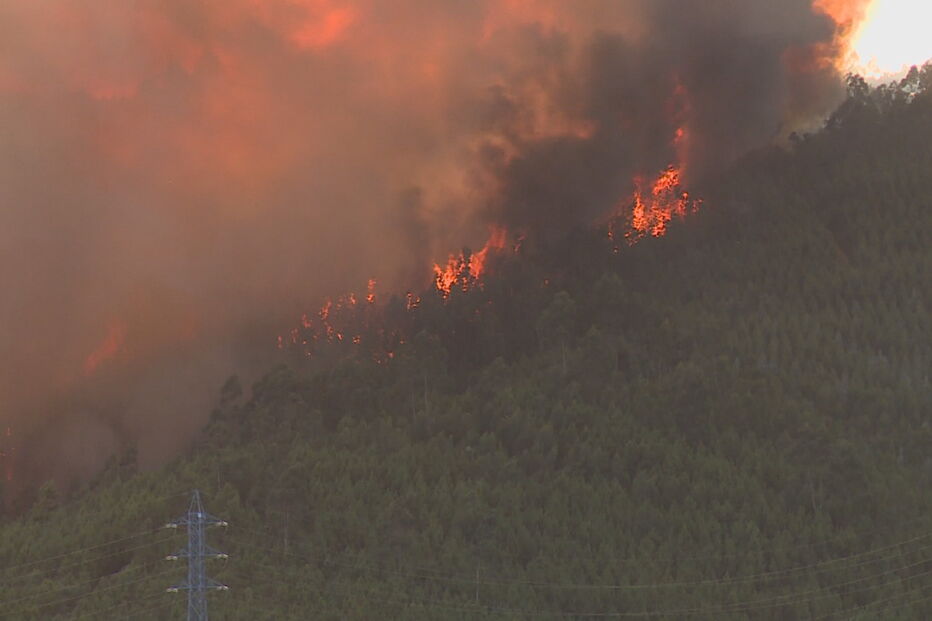 Fogo assusta população de Castelo Branco