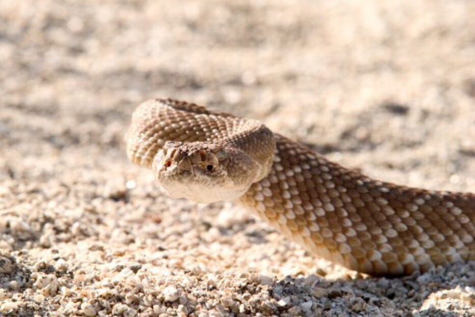 2017-07-19_14_30.52 95691342.jpg