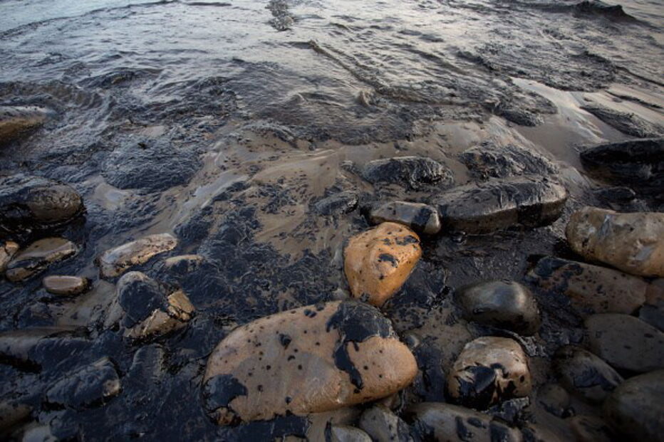 Kingston, Agência de Planeamento e Meio Ambiente da Jamaica, Companhia Estatal de Petróleo da Jamaica, Petrojam, Nepa, acidentes e desastres, economia, negócios e finanças, energia, petróleo e gás (extração)