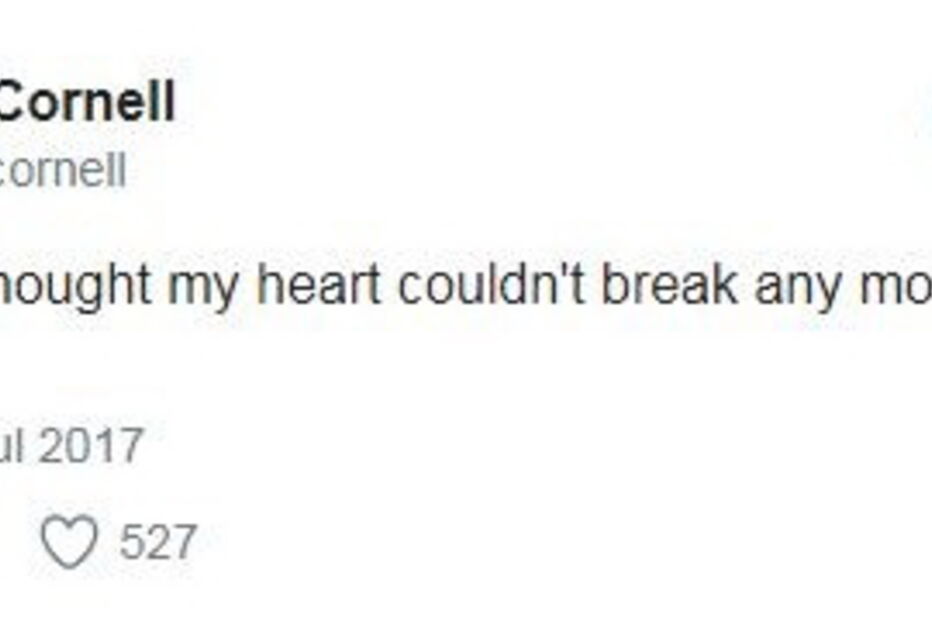 2017-07-20_21_01.34 vicky.JPG