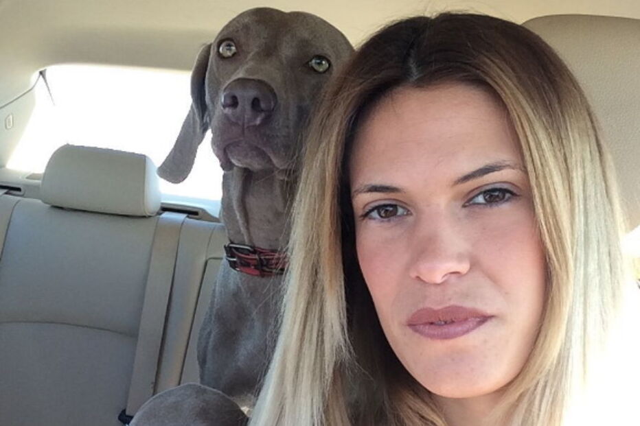 2017-07-21_12_45.37 caça 3.PNG