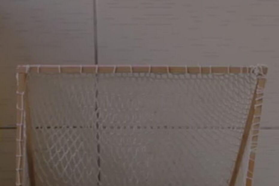 Peixe-gato usa a cauda para acertar na bola