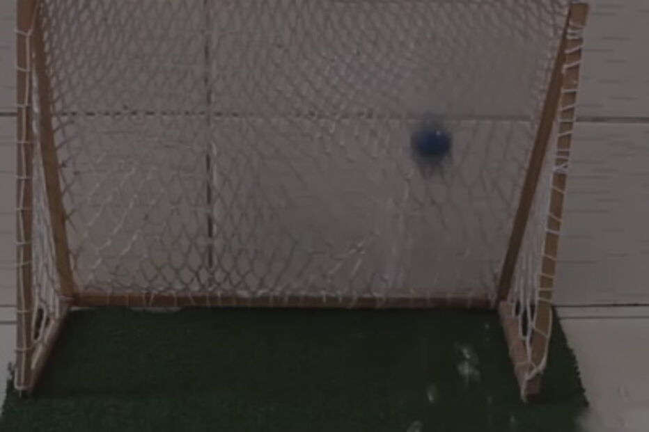 Peixe-gato usa a cauda para acertar na bola