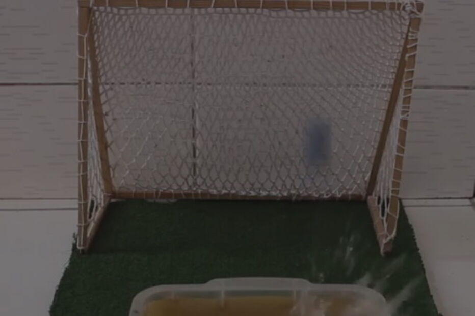 Peixe-gato usa a cauda para acertar na bola