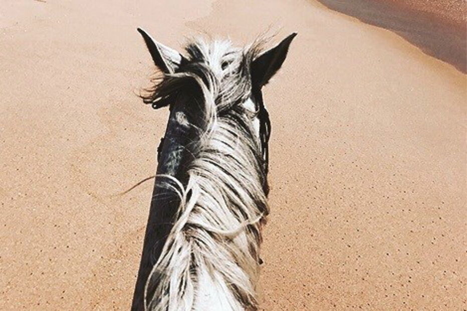 Alentejo, Lisboa, Portugal, Madonna, Comporta, rainha, Universo, Yoga Shala, David Banda, Stella, Esther, artes, cultura e entretenimento, fotografia