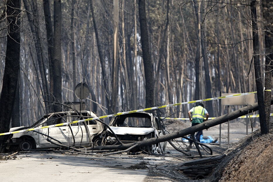 2017-07-24_01_08.14 14145575.jpg