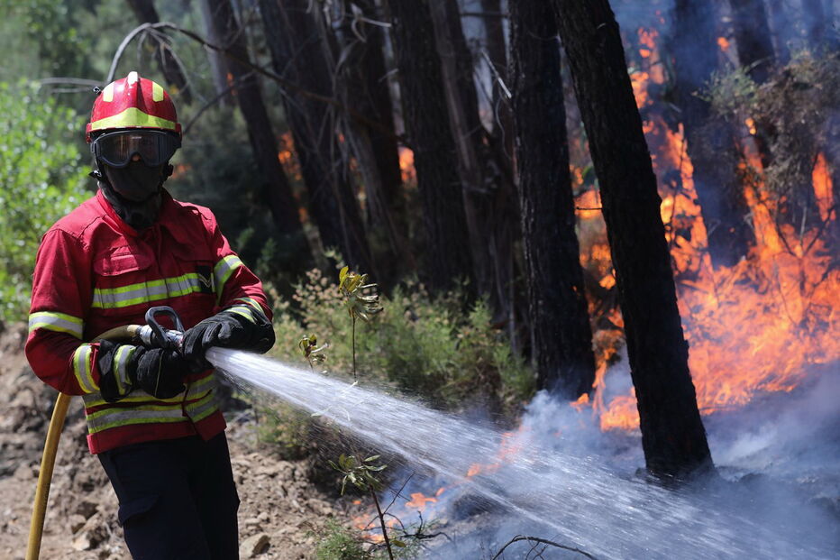 2017-07-24_01_08.18 14155232.jpg