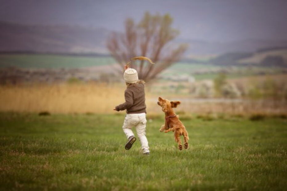 Criança brinca com cão