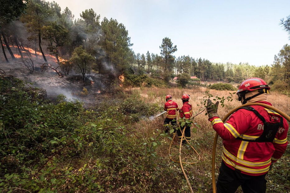 Bombeiros combatem fogos em Mação, Sertã, Proença-a-Nova e Castelo Branco