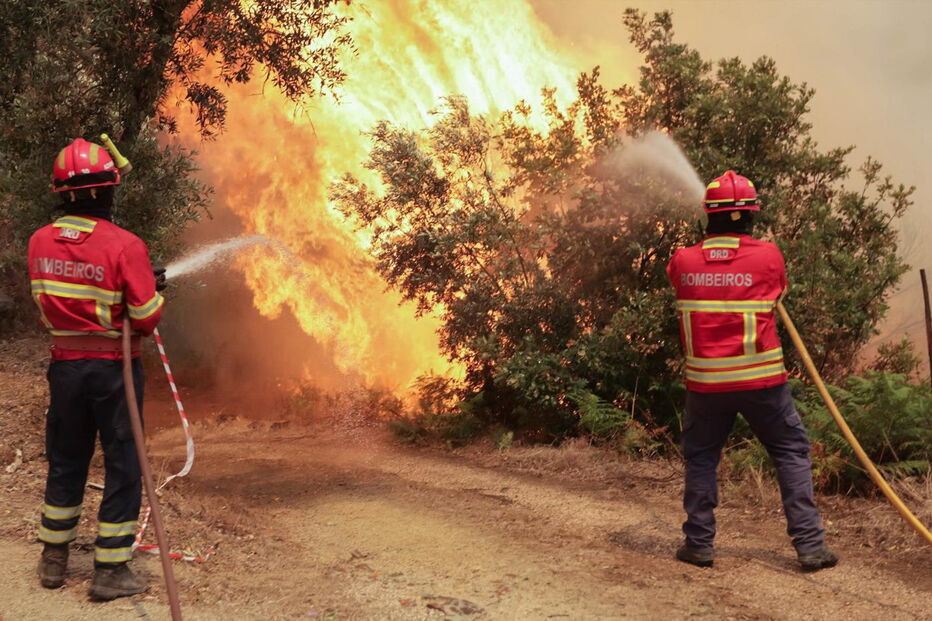 Depois de ter visto um incêndio em Coimbra, mulher queria ver trabalho dos bombeiros junto a sua casa