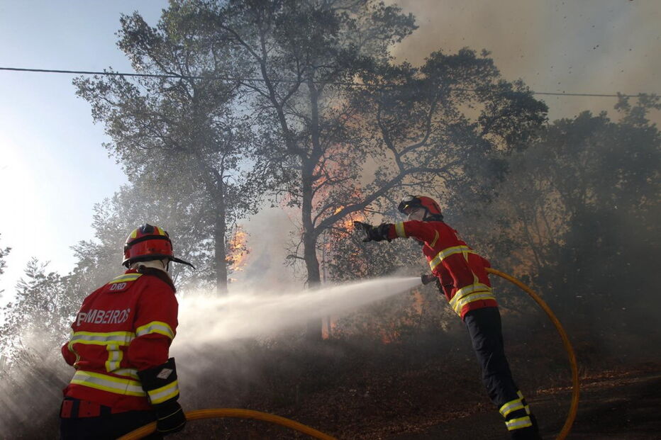 Depois de ter visto um incêndio em Coimbra, mulher queria ver trabalho dos bombeiros junto a sua casa